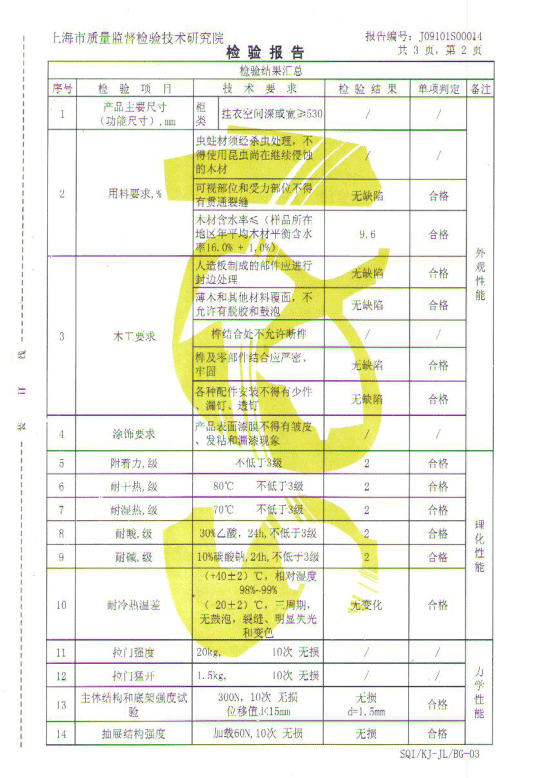 文件检验报告